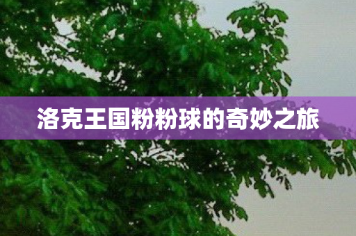 洛克王国粉粉球的奇妙之旅图片