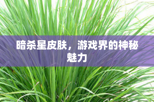 游戏界的神秘魅力图片