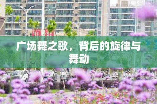 背后的旋律与舞动图片