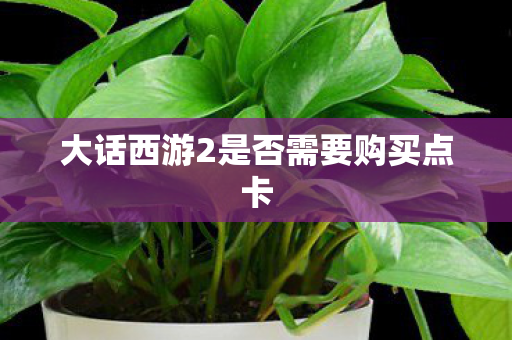 大话西游2是否需要购买点卡图片
