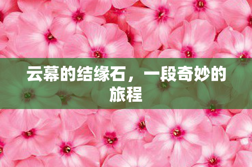 一段奇妙的旅程图片