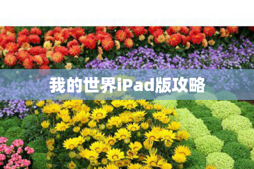 我的世界iPad版攻略图片