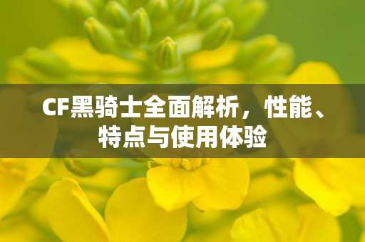 CF黑骑士全面解析图片