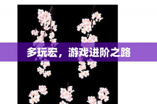 游戏进阶之路图片