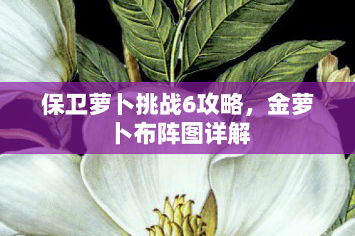 保卫萝卜挑战6攻略图片