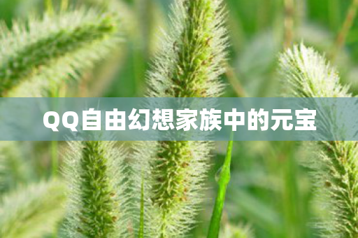 QQ自由幻想家族中的元宝图片