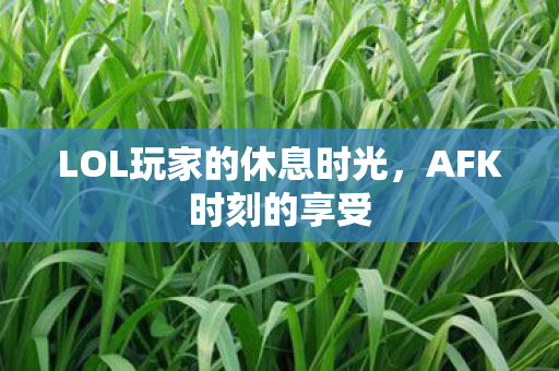 LOL玩家的休息时光图片