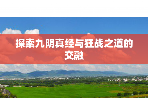 探索九阴真经与狂战之道的交融图片