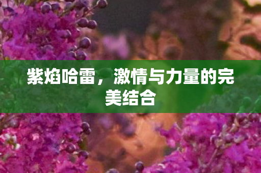 激情与力量的完美结合图片