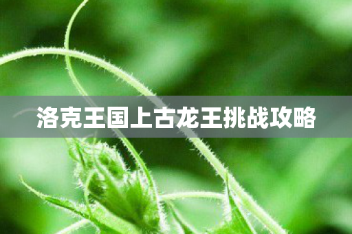 洛克王国上古龙王挑战攻略图片
