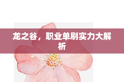 职业单刷实力大解析图片