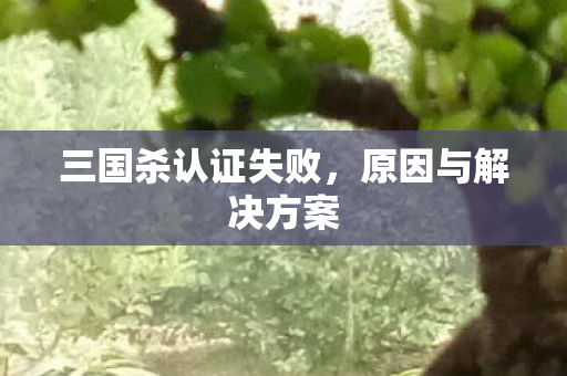 三国杀认证失败图片