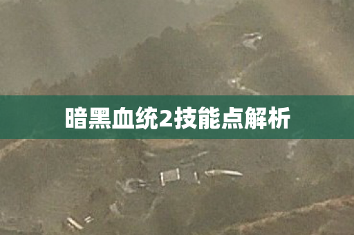 暗黑血统2技能点解析图片