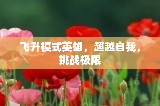 飞升模式英雄图片
