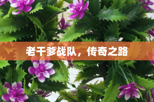 老干爹战队图片