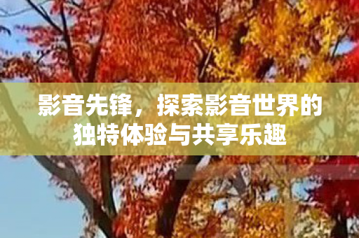 探索影音世界的独特体验与共享乐趣图片