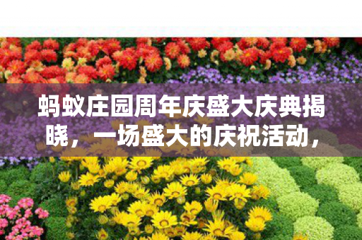 蚂蚁庄园周年庆盛大庆典揭晓图片