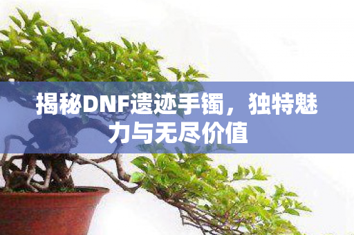 揭秘DNF遗迹手镯图片