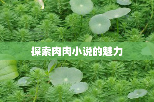 探索肉肉小说的魅力图片