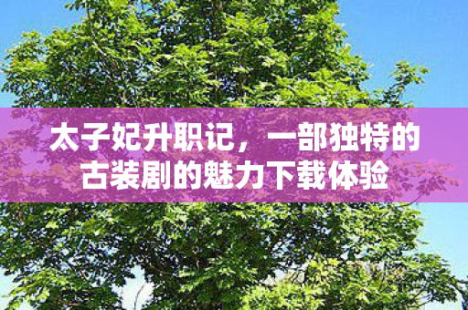 一部独特的古装剧的魅力下载体验图片