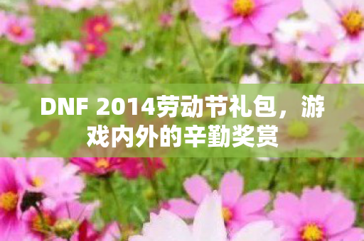 DNF 2014劳动节礼包图片