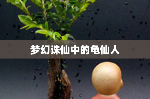 梦幻诛仙中的龟仙人图片