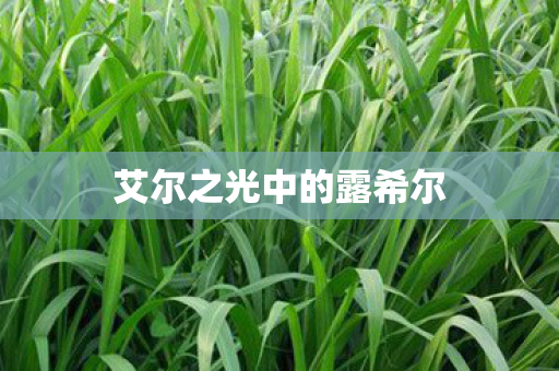 艾尔之光中的露希尔图片
