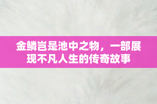 一部展现不凡人生的传奇故事图片