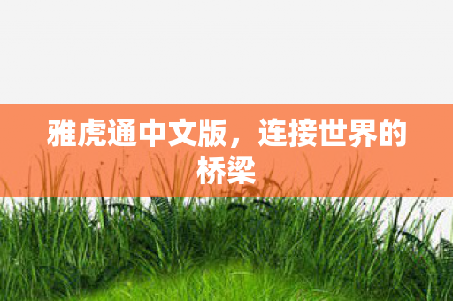 连接世界的桥梁图片