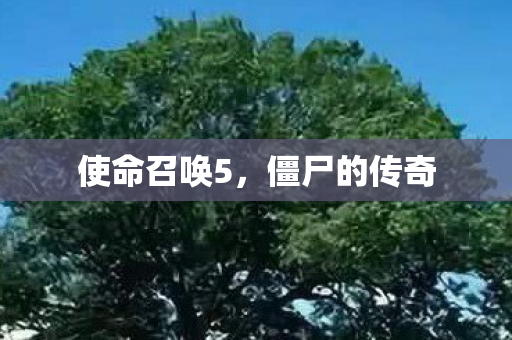 使命召唤5图片