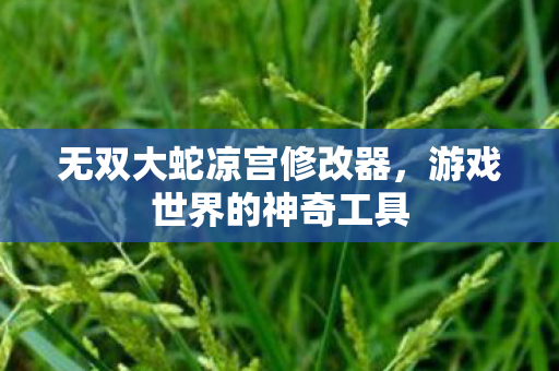 无双大蛇凉宫修改器图片