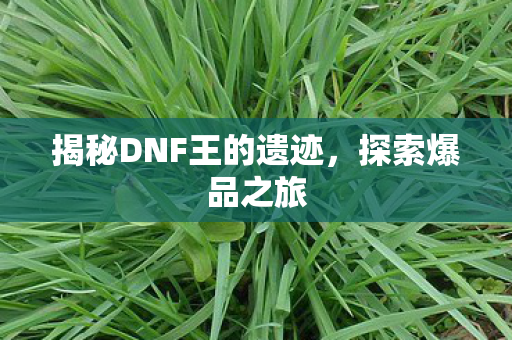 揭秘DNF王的遗迹图片