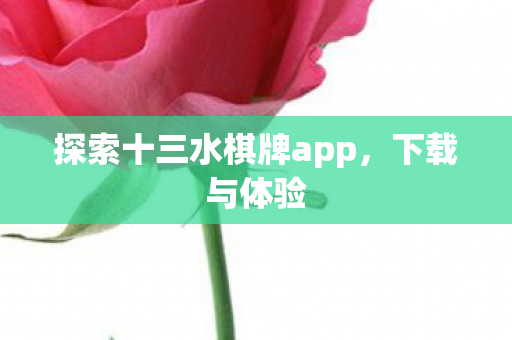 探索十三水棋牌app图片