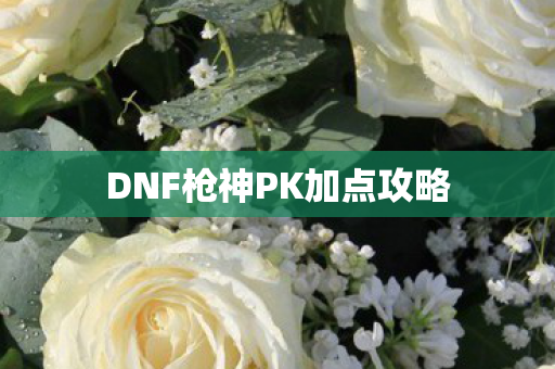 DNF枪神PK加点攻略图片