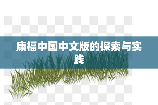 康福中国中文版的探索与实践图片