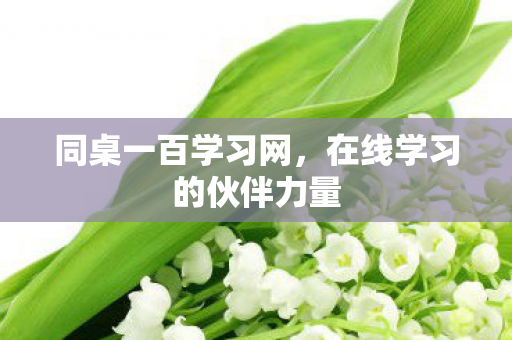 在线学习的伙伴力量图片