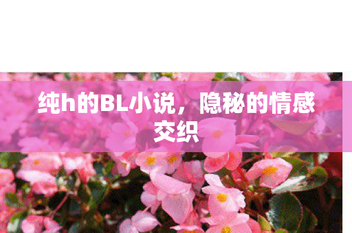 纯h的BL小说图片
