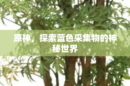 探索蓝色采集物的神秘世界图片