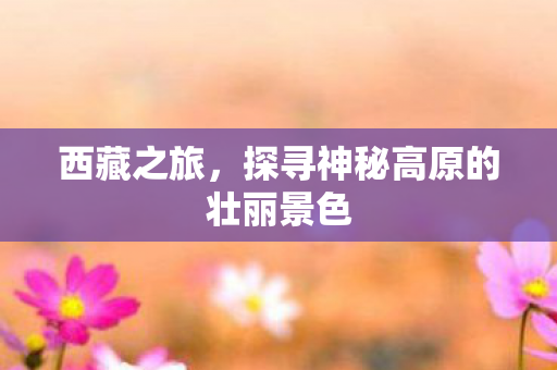 探寻神秘高原的壮丽景色图片