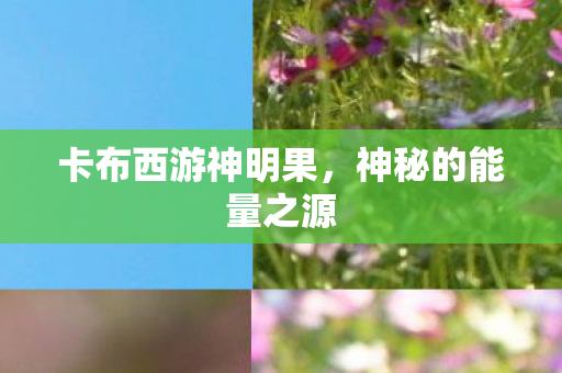 卡布西游神明果图片