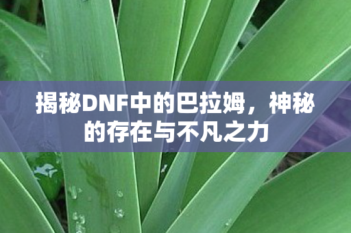 揭秘DNF中的巴拉姆图片