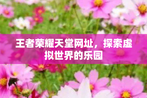 探索虚拟世界的乐园图片