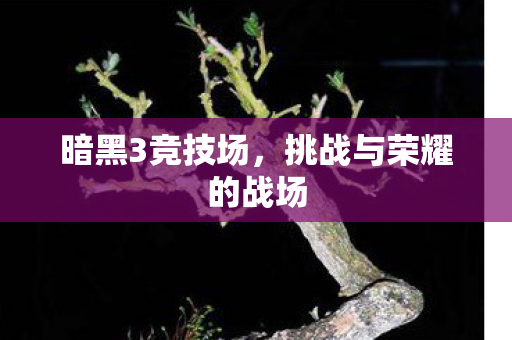 挑战与荣耀的战场图片