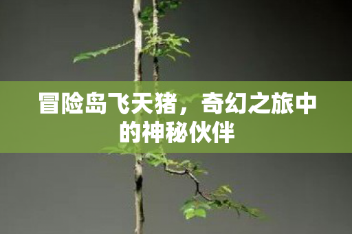 奇幻之旅中的神秘伙伴图片