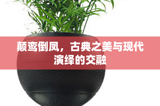 古典之美与现代演绎的交融图片