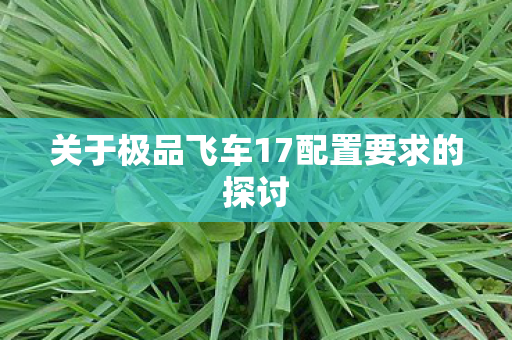 关于极品飞车17配置要求的探讨图片
