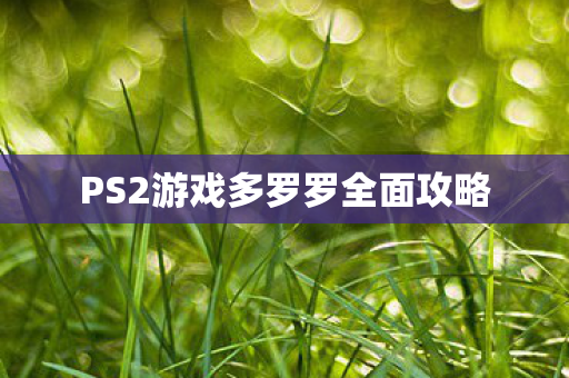 PS2游戏多罗罗全面攻略图片