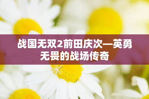 战国无双2前田庆次图片