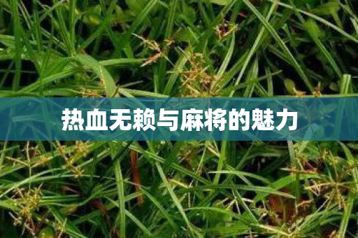 热血无赖与麻将的魅力图片
