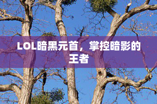 LOL暗黑元首图片